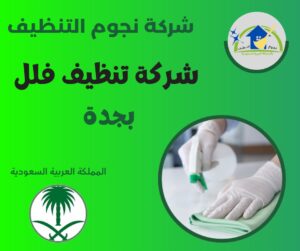 شركة تنظيف فلل بجدة