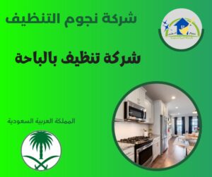 شركة تنظيف بالباحة