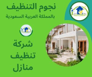 شركة تنظيف منازل