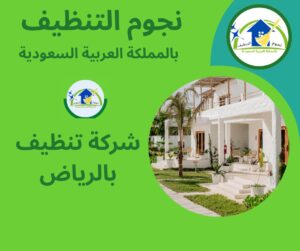 شركة تنظيف بالرياض