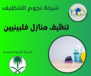 تنظيف منازل فلبينيين