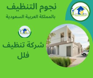 شركة تنظيف فلل